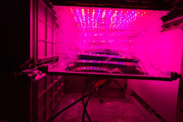 NASA image: Flight Photos - VEG-01B Day 11 GMT 200