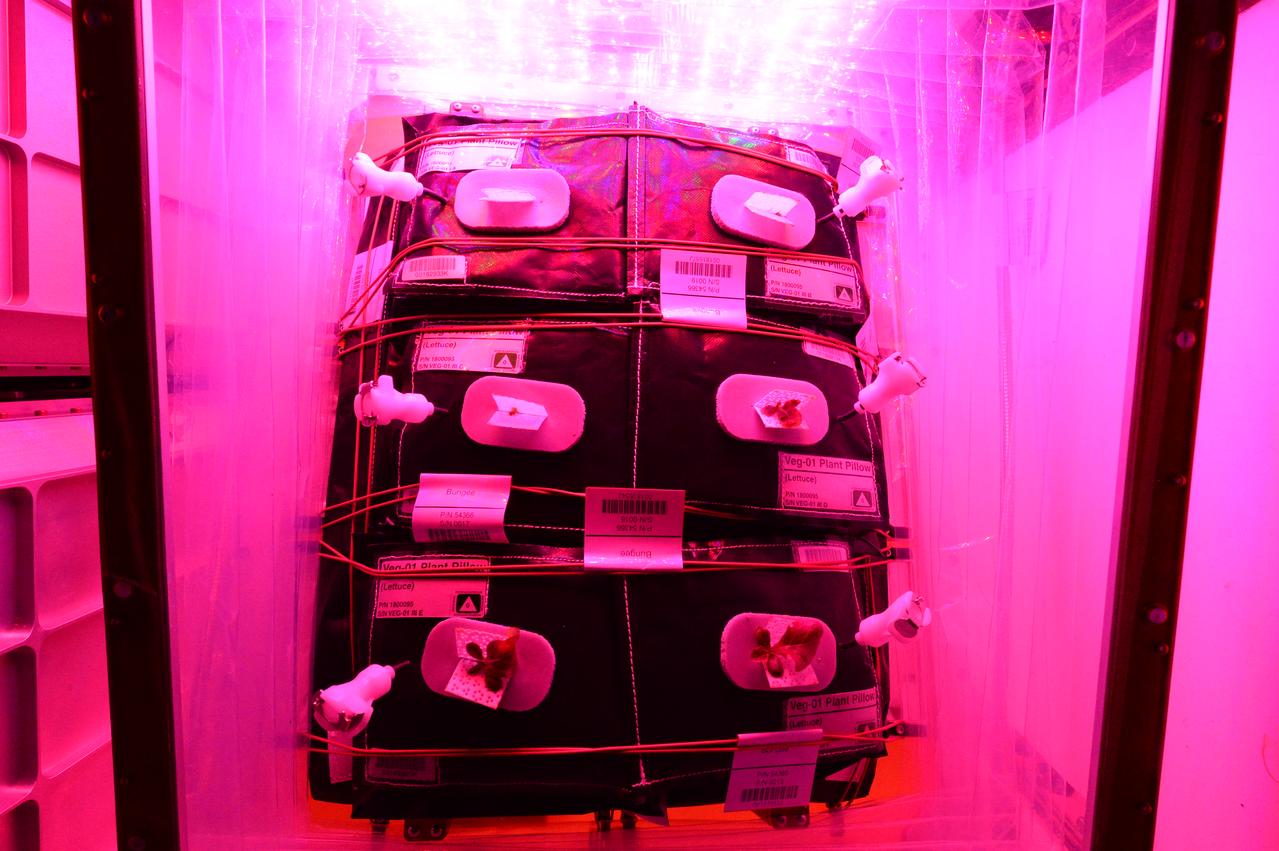 Flight Photos - VEG-01B Day 11 GMT 200