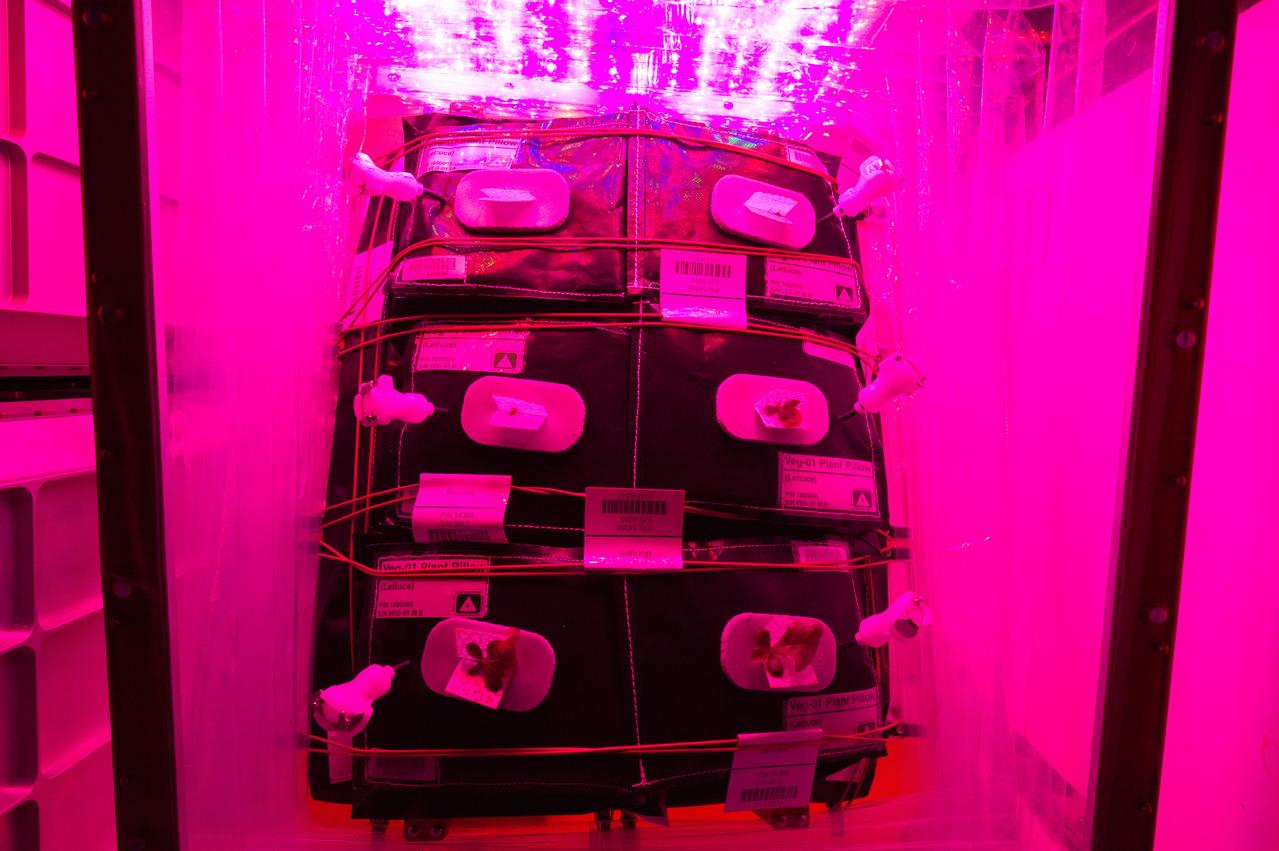 Flight Photos - VEG-01B Day 11 GMT 200