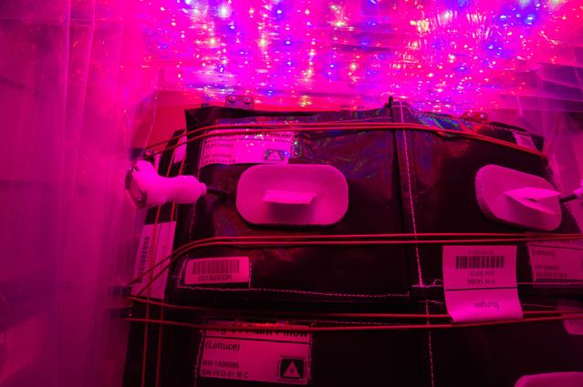 NASA image: Flight Photos - VEG-01B Day 11 GMT 200