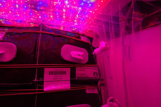 NASA image: Flight Photos - VEG-01B Day 11 GMT 200