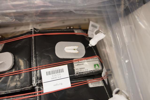 NASA image: Flight Photos - VEG-01B Day 12 GMT 201