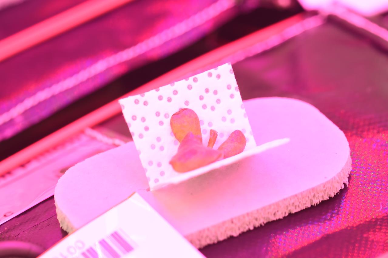 Astronaut Scott Kelly initiated VEG-01 B, the second crop of lettuce, on July, 8, 2015, and both Kelly and Astronaut Kjell Lindgren cared for the plants. The crop grew for 33 days. VEG-01 B included one set of six plant pillows planted with red romaine lettuce seeds. On Aug. 10, 2015, the crew harvested and consumed leaves from each plant. This was the first crop grown and consumed in NASA hardware. They harvested the rest of the plant tissue and froze it in the station’s Minus Eighty-Degree Laboratory Freezer for ISS (MELFI) for return to Earth for further study including microbial analysis, antioxidant capacity, mineral analysis and anthocyanin concentration. 