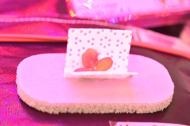 NASA image: Ground Photos - 11 DAI VEG-01B