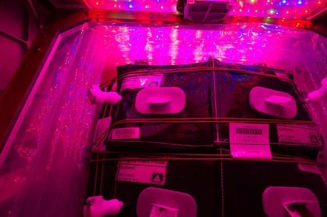 NASA image: Flight Photos - VEG-01B Day 13 GMT 202