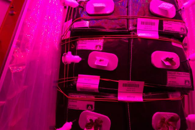 NASA image: Flight Photos - VEG-01B Day 13 GMT 202