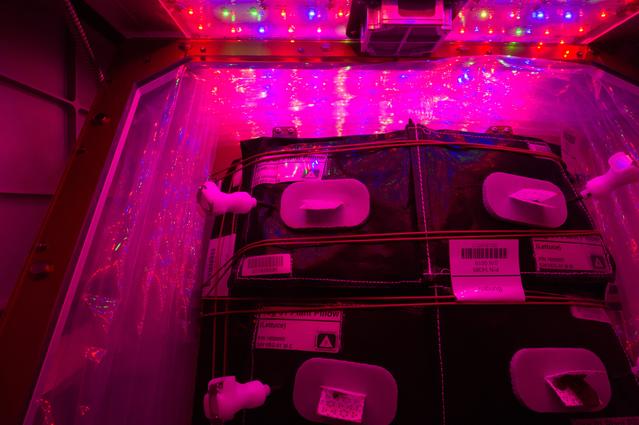 NASA image: Flight Photos - VEG-01B Day 13 GMT 202