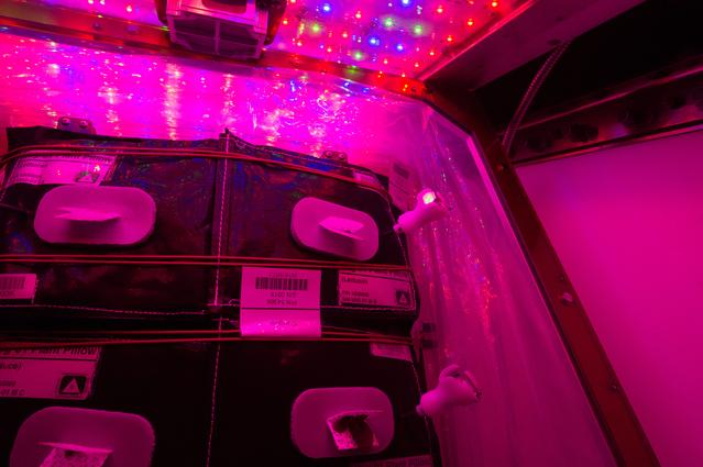 NASA image: Flight Photos - VEG-01B Day 13 GMT 202