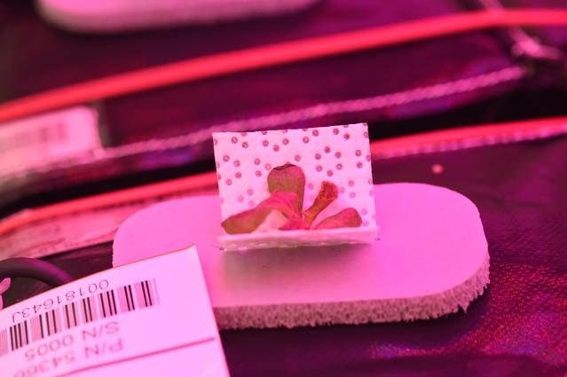 NASA image: Ground Photos - 12 DAI VEG-01B GC