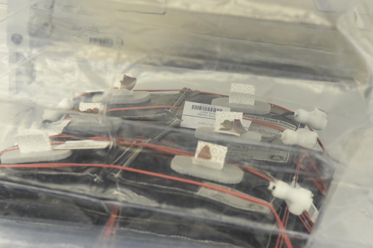 Ground Photos - 13 DAI VEG-01B GC