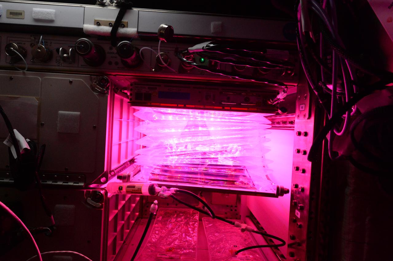 Flight Photos - VEG-01B Day 15 GMT 204