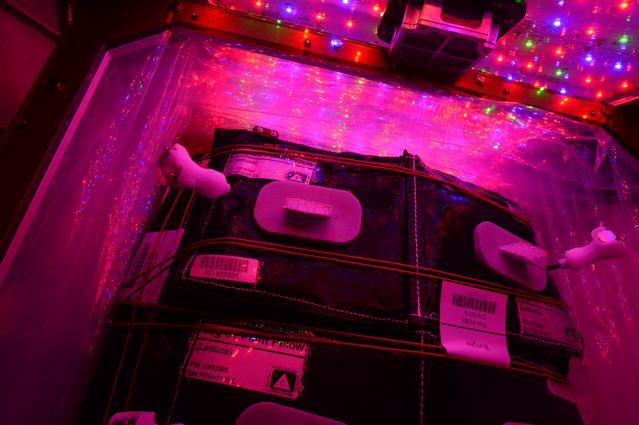 NASA image: Flight Photos - VEG-01B Day 15 GMT 204