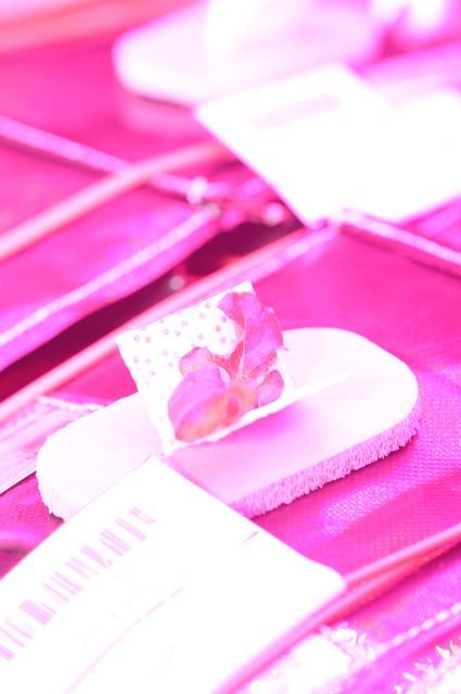 NASA image: Ground Photos - 14 DAI VEG-01B GC