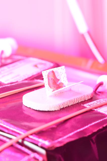 NASA image: Ground Photos - 14 DAI VEG-01B GC