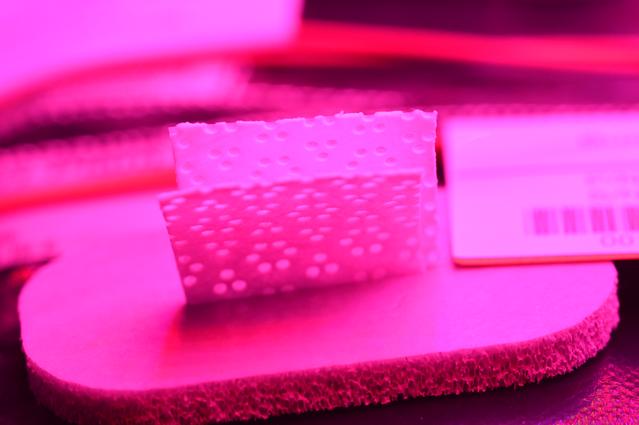 NASA image: Ground Photos - 14 DAI VEG-01B GC