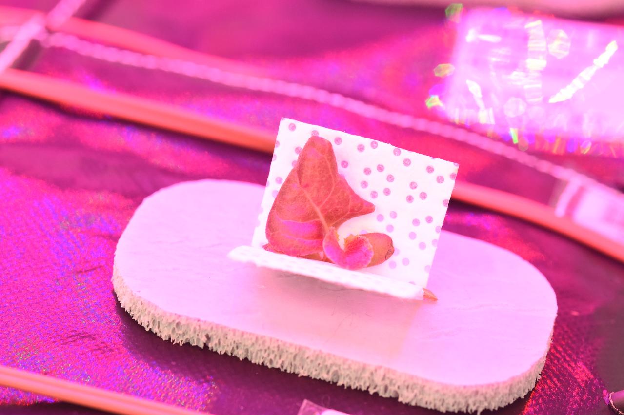 Astronaut Scott Kelly initiated VEG-01 B, the second crop of lettuce, on July, 8, 2015, and both Kelly and Astronaut Kjell Lindgren cared for the plants. The crop grew for 33 days. VEG-01 B included one set of six plant pillows planted with red romaine lettuce seeds. On Aug. 10, 2015, the crew harvested and consumed leaves from each plant. This was the first crop grown and consumed in NASA hardware. They harvested the rest of the plant tissue and froze it in the station’s Minus Eighty-Degree Laboratory Freezer for ISS (MELFI) for return to Earth for further study including microbial analysis, antioxidant capacity, mineral analysis and anthocyanin concentration. 