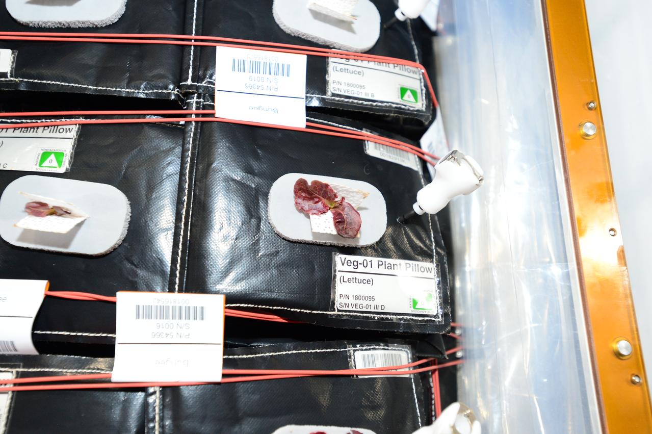 Flight Photos - VEG-01B Day 18 GMT 207