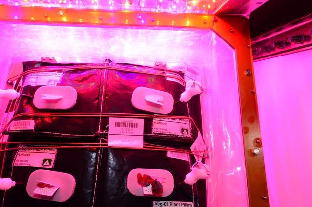 NASA image: Flight Photos - VEG-01B Day 18 GMT 207