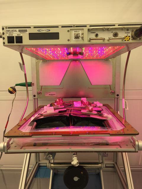 NASA image: Ground Photos - 18 DAI VEG-01B GC