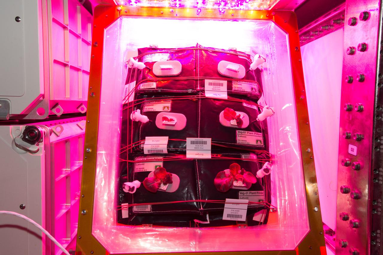 Flight Photos - VEG-01B Day 19 GMT 208