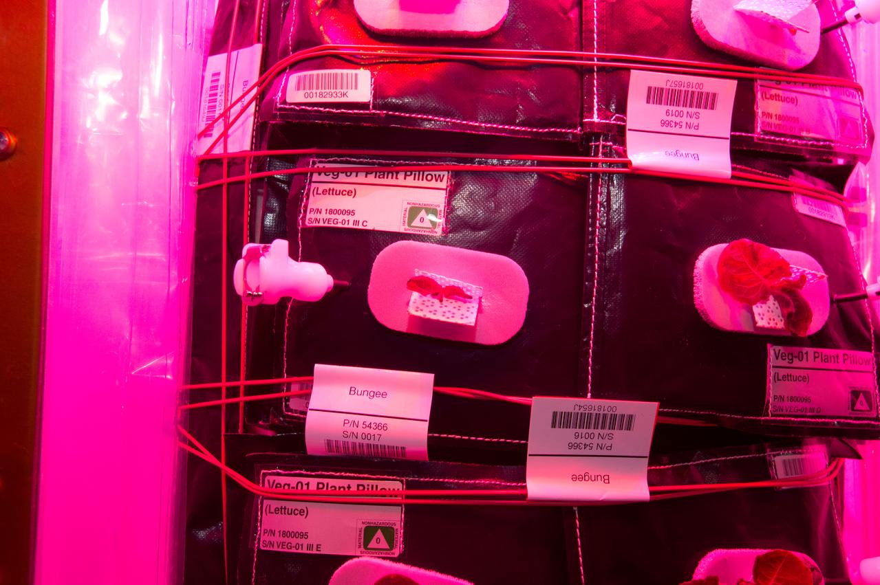 Flight Photos - VEG-01B Day 19 GMT 208