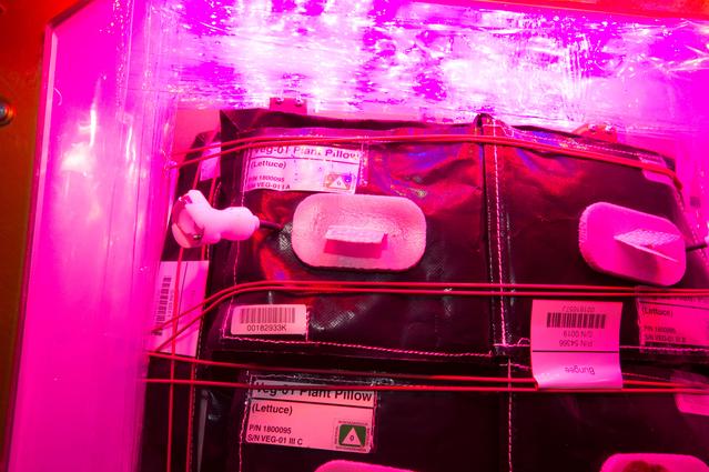 NASA image: Flight Photos - VEG-01B Day 19 GMT 208