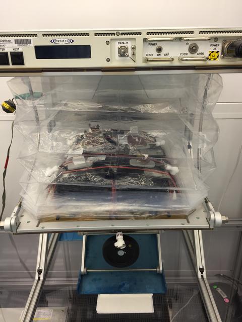 NASA image: Ground Photos - 19 DAI VEG-01B GC