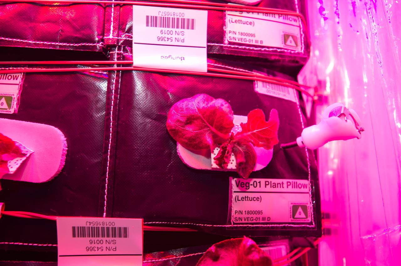 Flight Photos - VEG-01B Day 22 GMT 211