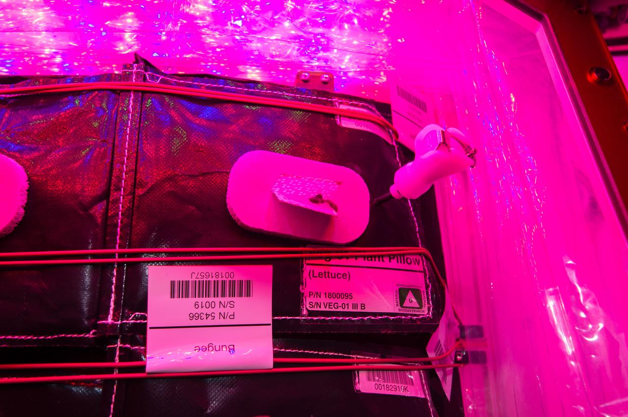 Flight Photos - VEG-01B Day 22 GMT 211