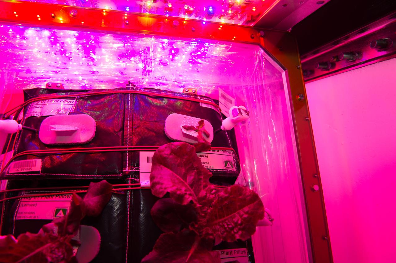 Flight Photos - VEG-01B Day 28