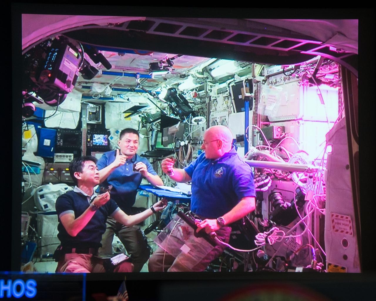 Flight Photos - VEG-01B Day 33 - Plants at Harvest