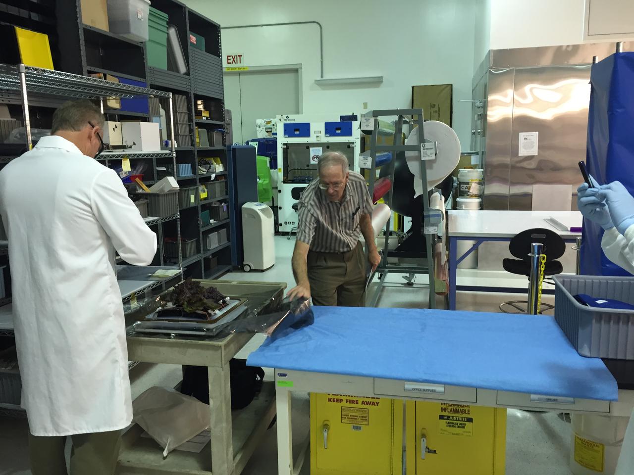 Ground Photos - 33 DAI VEG-01B - Ground Harvest