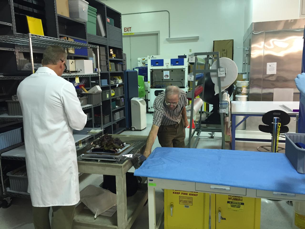 Ground Photos - 33 DAI VEG-01B - Ground Harvest