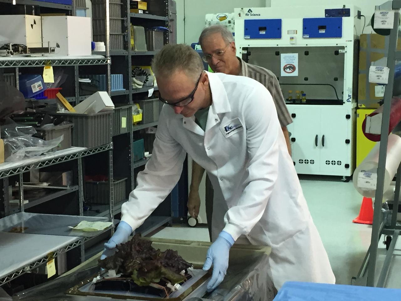 Ground Photos - 33 DAI VEG-01B - Ground Harvest