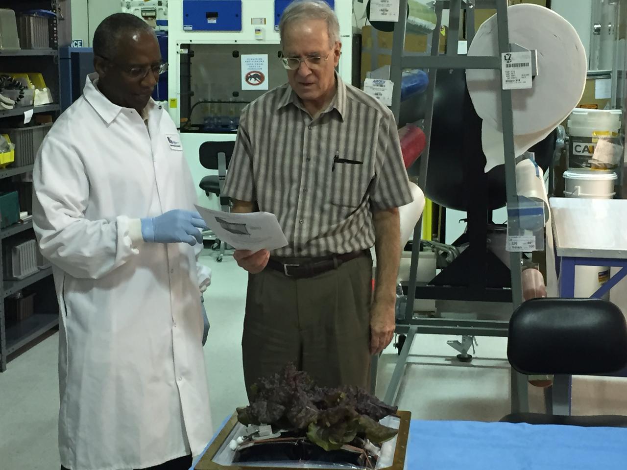 Astronaut Scott Kelly initiated VEG-01 B, the second crop of lettuce, on July, 8, 2015, and both Kelly and Astronaut Kjell Lindgren cared for the plants. The crop grew for 33 days. VEG-01 B included one set of six plant pillows planted with red romaine lettuce seeds. On Aug. 10, 2015, the crew harvested and consumed leaves from each plant. This was the first crop grown and consumed in NASA hardware. They harvested the rest of the plant tissue and froze it in the station’s Minus Eighty-Degree Laboratory Freezer for ISS (MELFI) for return to Earth for further study including microbial analysis, antioxidant capacity, mineral analysis and anthocyanin concentration. 