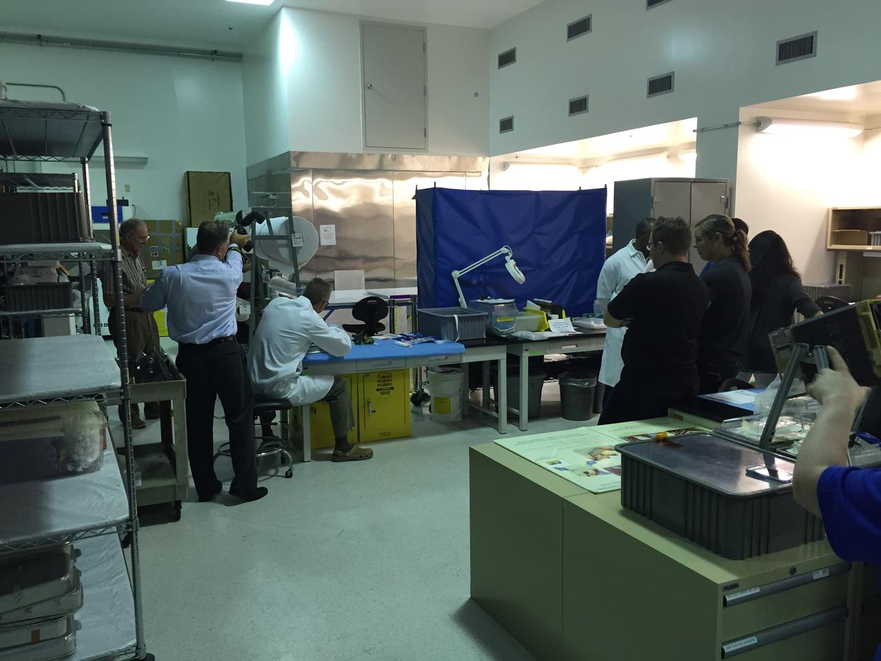 Astronaut Scott Kelly initiated VEG-01 B, the second crop of lettuce, on July, 8, 2015, and both Kelly and Astronaut Kjell Lindgren cared for the plants. The crop grew for 33 days. VEG-01 B included one set of six plant pillows planted with red romaine lettuce seeds. On Aug. 10, 2015, the crew harvested and consumed leaves from each plant. This was the first crop grown and consumed in NASA hardware. They harvested the rest of the plant tissue and froze it in the station’s Minus Eighty-Degree Laboratory Freezer for ISS (MELFI) for return to Earth for further study including microbial analysis, antioxidant capacity, mineral analysis and anthocyanin concentration. 