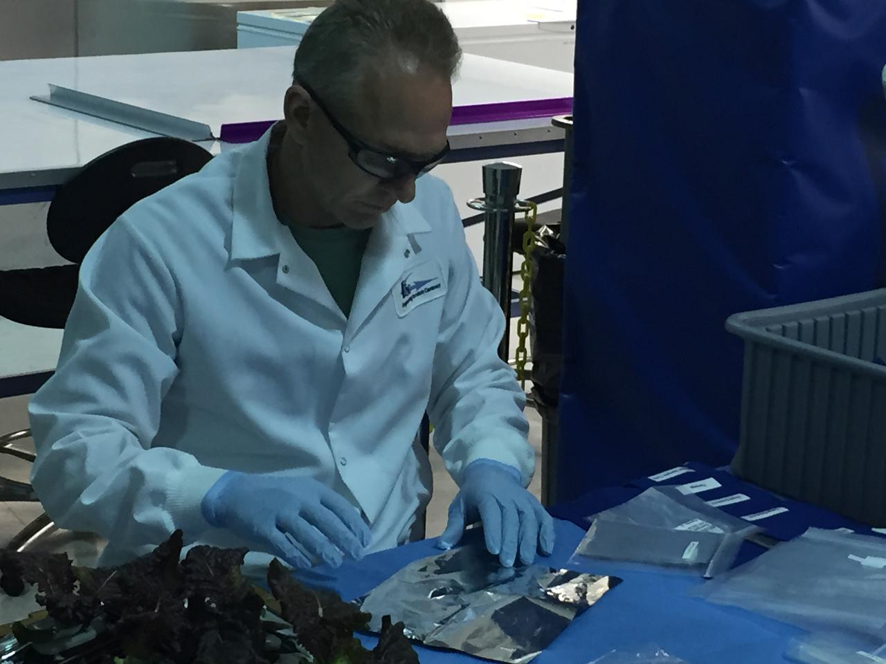 Ground Photos - 33 DAI VEG-01B - Ground Harvest