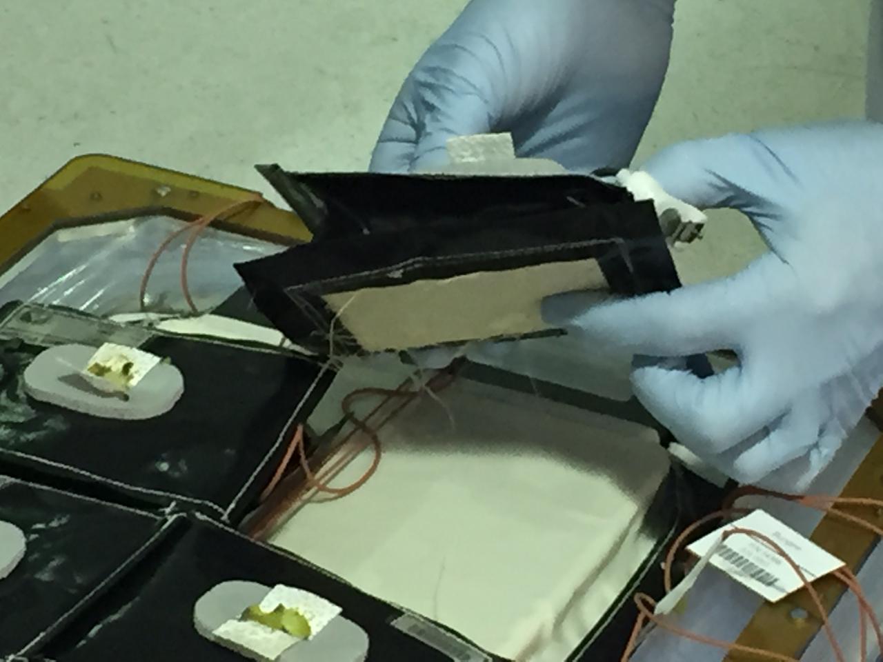 Astronaut Scott Kelly initiated VEG-01 B, the second crop of lettuce, on July, 8, 2015, and both Kelly and Astronaut Kjell Lindgren cared for the plants. The crop grew for 33 days. VEG-01 B included one set of six plant pillows planted with red romaine lettuce seeds. On Aug. 10, 2015, the crew harvested and consumed leaves from each plant. This was the first crop grown and consumed in NASA hardware. They harvested the rest of the plant tissue and froze it in the station’s Minus Eighty-Degree Laboratory Freezer for ISS (MELFI) for return to Earth for further study including microbial analysis, antioxidant capacity, mineral analysis and anthocyanin concentration. 