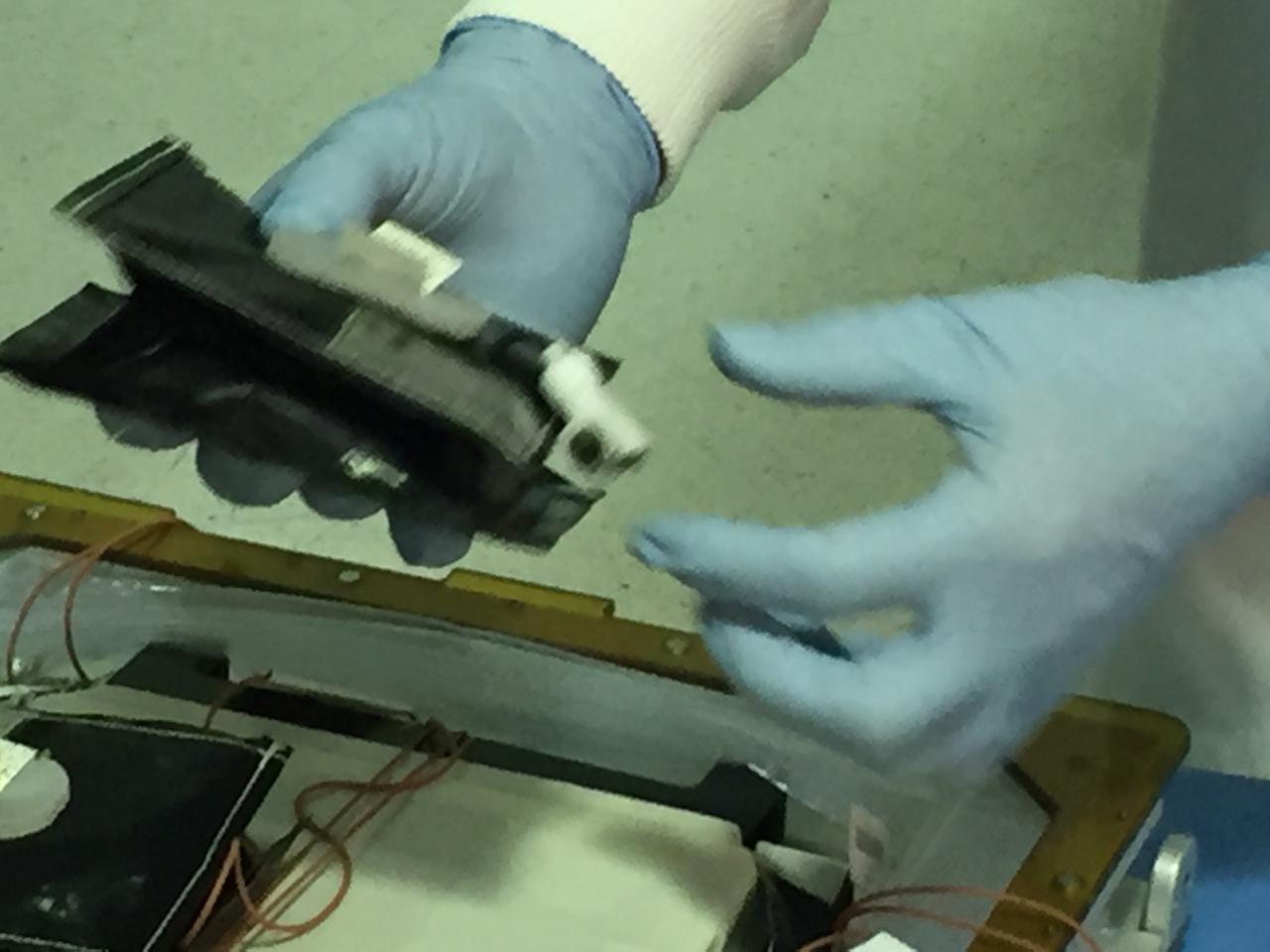 Astronaut Scott Kelly initiated VEG-01 B, the second crop of lettuce, on July, 8, 2015, and both Kelly and Astronaut Kjell Lindgren cared for the plants. The crop grew for 33 days. VEG-01 B included one set of six plant pillows planted with red romaine lettuce seeds. On Aug. 10, 2015, the crew harvested and consumed leaves from each plant. This was the first crop grown and consumed in NASA hardware. They harvested the rest of the plant tissue and froze it in the station’s Minus Eighty-Degree Laboratory Freezer for ISS (MELFI) for return to Earth for further study including microbial analysis, antioxidant capacity, mineral analysis and anthocyanin concentration. 