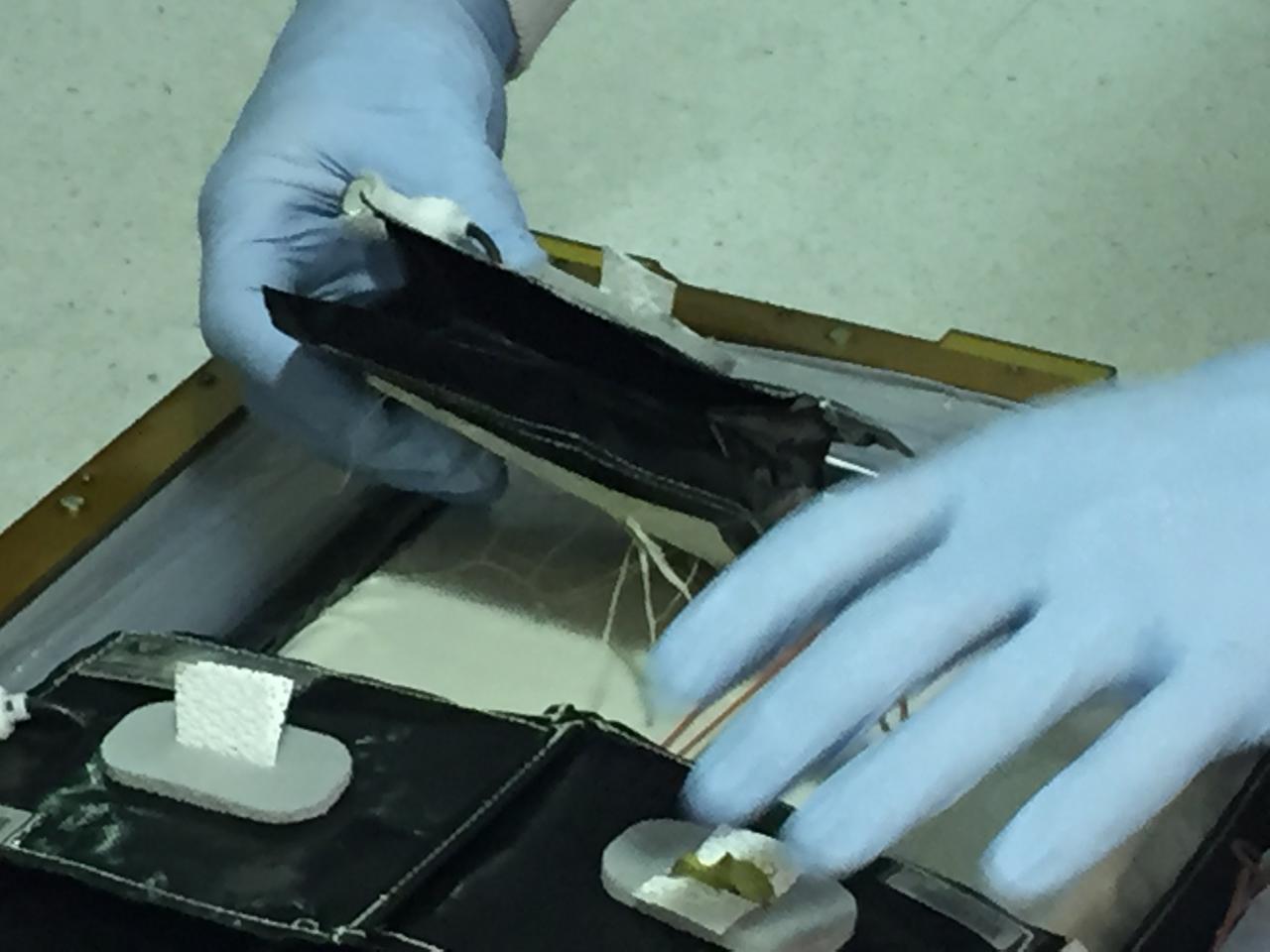 Astronaut Scott Kelly initiated VEG-01 B, the second crop of lettuce, on July, 8, 2015, and both Kelly and Astronaut Kjell Lindgren cared for the plants. The crop grew for 33 days. VEG-01 B included one set of six plant pillows planted with red romaine lettuce seeds. On Aug. 10, 2015, the crew harvested and consumed leaves from each plant. This was the first crop grown and consumed in NASA hardware. They harvested the rest of the plant tissue and froze it in the station’s Minus Eighty-Degree Laboratory Freezer for ISS (MELFI) for return to Earth for further study including microbial analysis, antioxidant capacity, mineral analysis and anthocyanin concentration. 