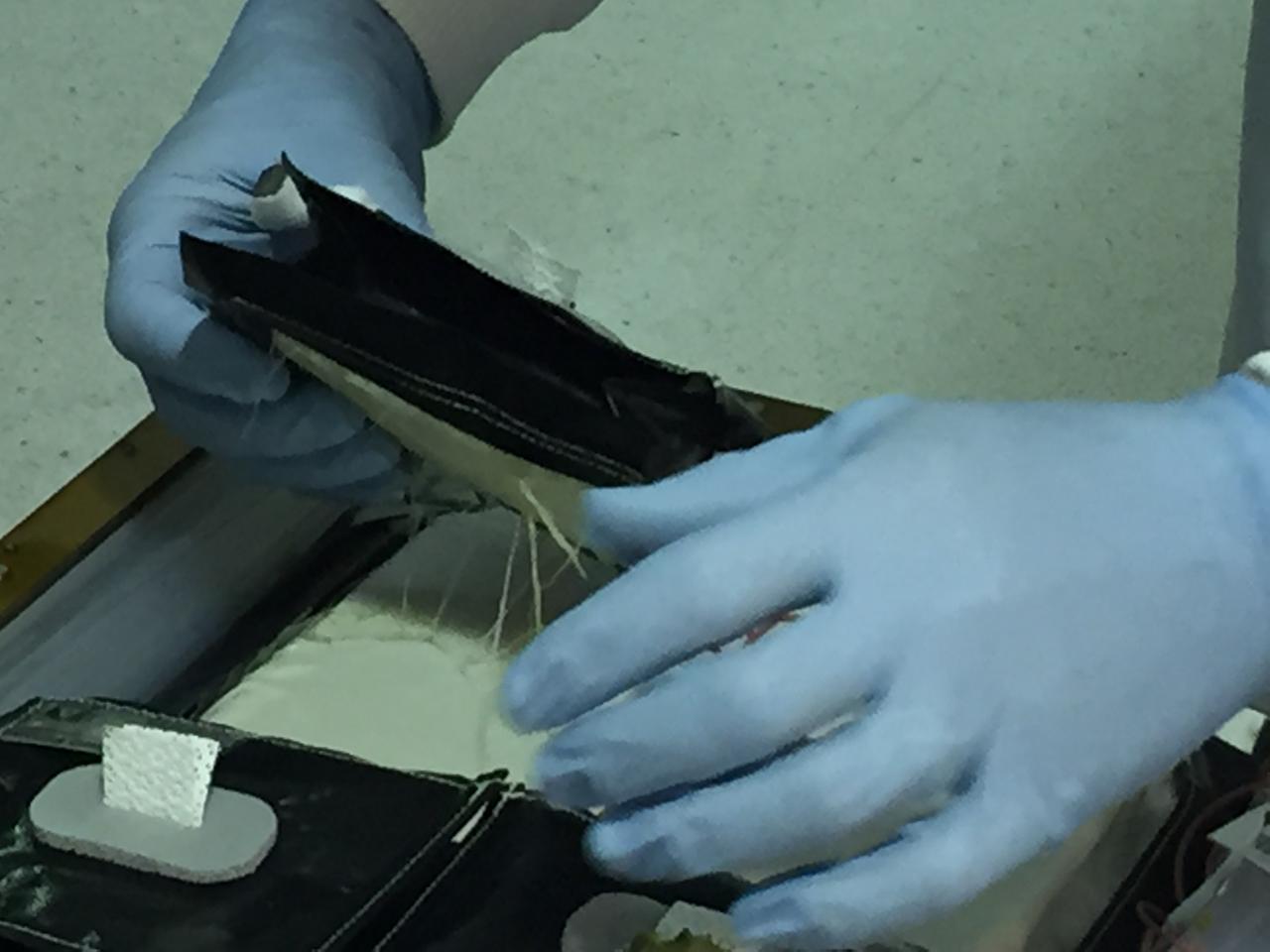 Ground Photos - 33 DAI VEG-01B - Ground Harvest