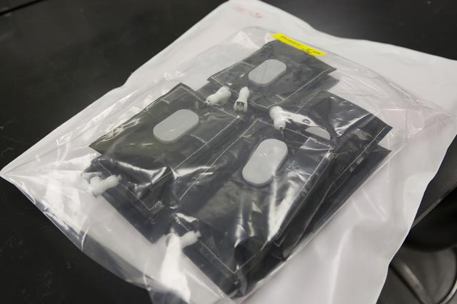 NASA image: Veg-03 Pillows Preparation for Flight