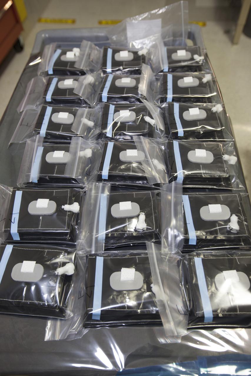 Inside a laboratory in the Space Station Processing Facility at NASA’s Kennedy Space Center in Florida, 18 plant pillows for the Veg-03 experiment have been prepared for delivery to the International Space Station aboard the eighth SpaceX Dragon commercial resupply mission. The Veg-03 plant pillows will contain ‘Tokyo Bekana’ cabbage seeds and lettuce seeds for NASA’s third Veggie plant growth system experiment. The experiment will continue NASA’s deep space plant growth research to benefit the Earth and the agency’s journey to Mars.