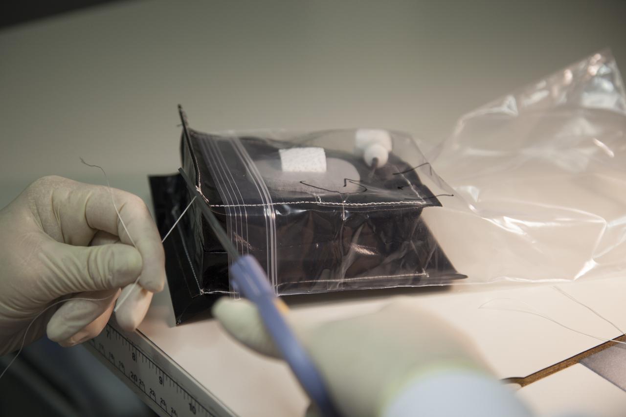 Inside a laboratory in the Space Station Processing Facility at NASA’s Kennedy Space Center in Florida, Michele Koralewicz, a mechanical technician with EASI on the Engineering Services Contract, sews up the end of a bag that contains one of the Veg-03 plant pillows. The Veg-03 experiment will be delivered to the International Space Station aboard the eighth SpaceX Dragon commercial resupply mission. The Veg-03 plant pillows will contain ‘Tokyo Bekana’ cabbage seeds and lettuce seeds for NASA’s third Veggie plant growth system experiment. The experiment will continue NASA’s deep space plant growth research to benefit the Earth and the agency’s journey to Mars.