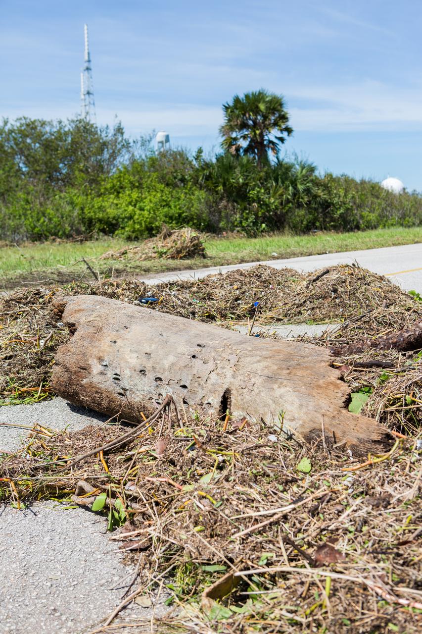 A tree is seen across a road during a survey of NASA's Kennedy Space Center in Florida on Saturday. The survey was performed to identify structures and facilities that may have sustained damage from Hurricane Matthew as the storm passed to the east of Kennedy on Oct. 6 and 7, 2016. Officials determined that the center received some isolated roof damage, damaged support buildings, a few downed power lines, and limited water intrusion. Beach erosion also occurred, although the storm surge was less than expected. NASA closed the center ahead of the storm’s onset and only a small team of specialists known as the Rideout Team was on the center as the storm approached and passed.