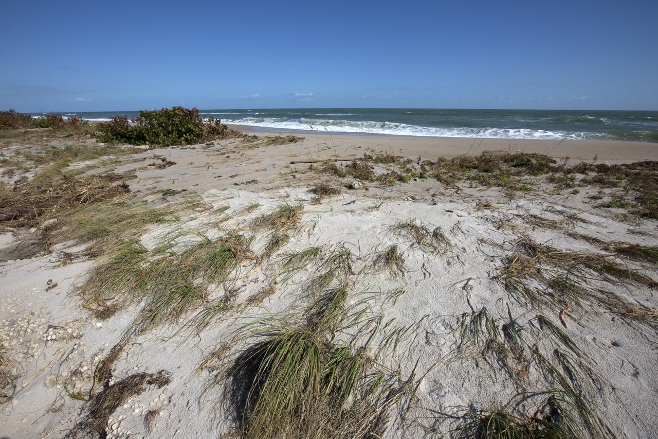 Beach erosion caused by Hurricane Matthew is visible along the Atlantic shoreline at NASA’s Kennedy Space Center in Florida. Although some sections of shoreline suffered erosion, recently restored portions of beach fared well. Hurricane Matthew, a Category 3 storm, passed to the east of Kennedy on Oct. 6 and 7, 2016. The center received some isolated roof damage, damaged support buildings, a few downed power lines, and limited water intrusion. 