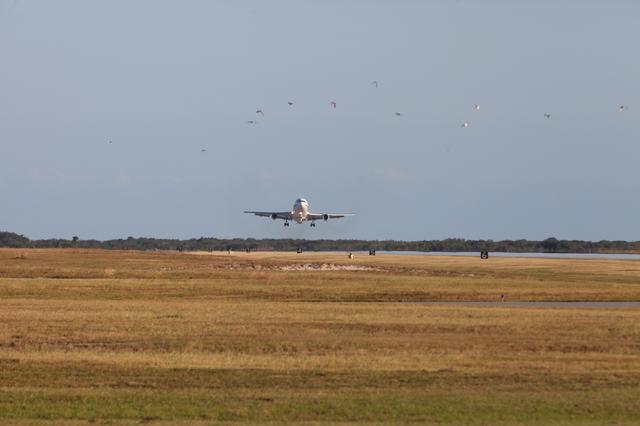 NASA image: Pegasus XL CYGNSS Arrival at CCAFS