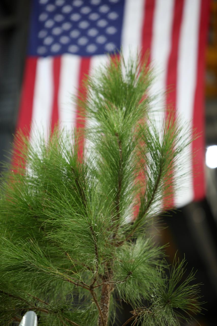A close-up view of an American flag and a small tree on the final work platform, A north, as the platform is lifted up by crane from the transfer aisle in the Vehicle Assembly Building (VAB) at NASA's Kennedy Space Center in Florida. The platform will be installed and secured on its rail beam high up on the north wall of High Bay 3. The installation of the final topmost level completes the 10 levels of work platforms, 20 platform halves altogether, that will surround NASA's Space Launch System rocket and the Orion spacecraft and allow access during processing for missions, including the first uncrewed flight test of Orion atop the SLS rocket in 2018. The A-level platforms will provide access to the Orion spacecraft's Launch Abort System for Orion lifting sling removal and installation of the closeout panels. The Ground Systems Development and Operations Program, with support from the center's Engineering Directorate, is overseeing upgrades and modifications to the VAB, including installation of the new work platforms.