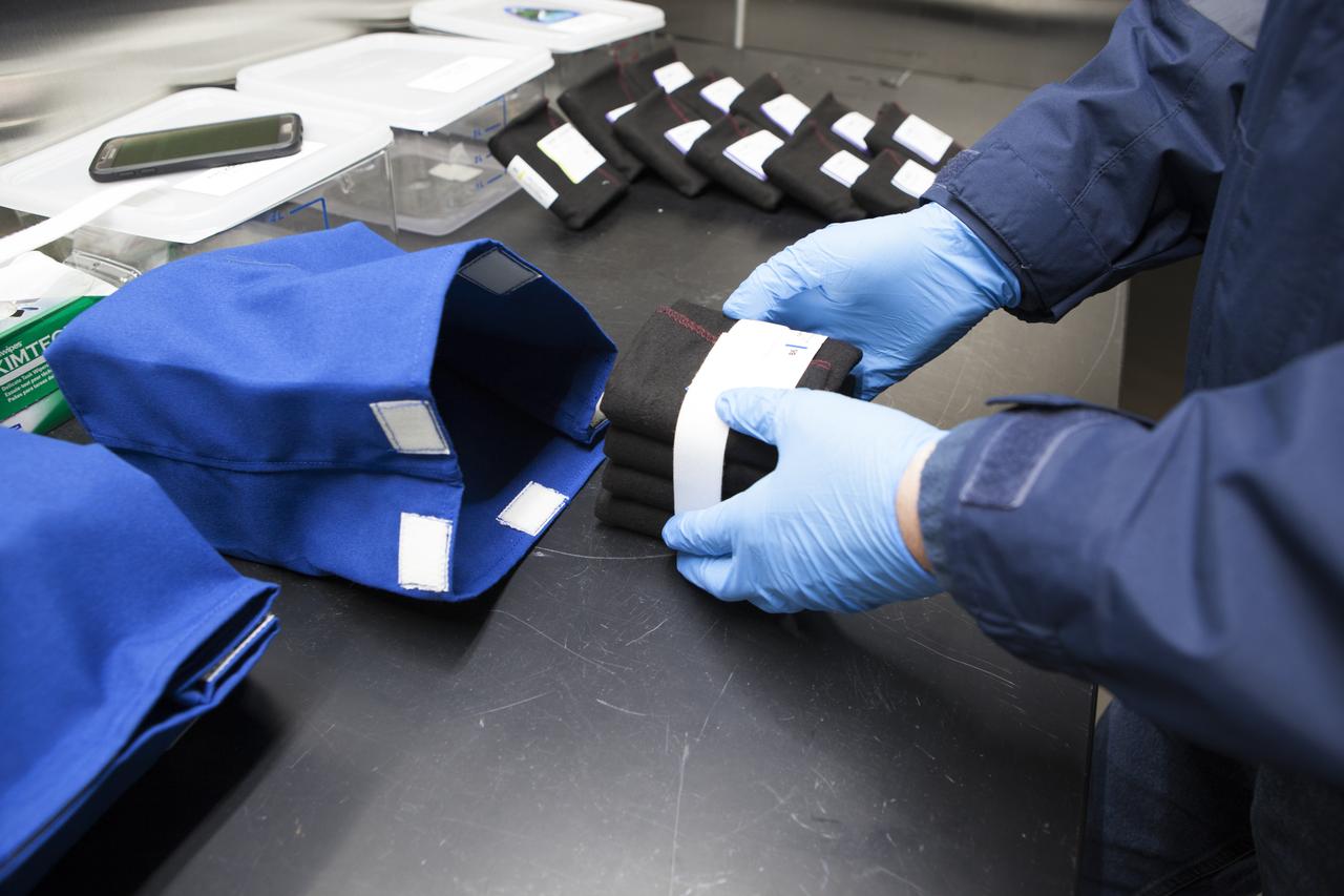 APEX-04, or Advanced Plant EXperiments-04, is being prepared in a cold room in the Kennedy Space Center Processing Facility for SpaceX-10. The 30 petri plates are bundled into groups of 10 and placed into one of three science kits. The science kits allow easy handling when the crew removes the plates from cold stowage on station. Dr. Anna Lisa Paul of the University of Florida is the principal investigator for APEX-04. Apex-04 is an experiment involving Arabidopsis in petri plates inside the Veggie facility aboard the International Space Station. Since Arabidopsis is the genetic model of the plant world, it is a perfect sample organism for performing genetic studies in spaceflight. The experiment is the result of a grant from NASA’s Space Life and Physical Sciences division.
