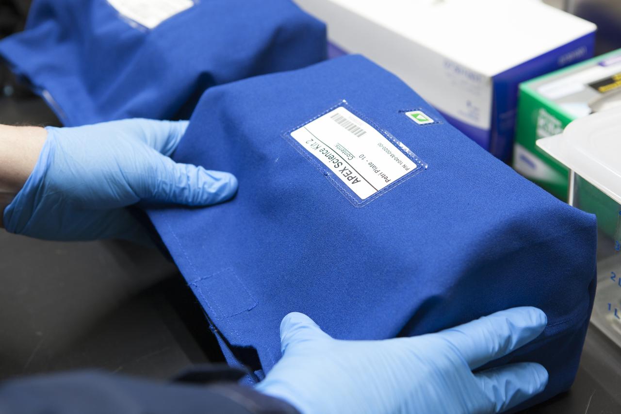 APEX-04, or Advanced Plant EXperiments-04, is being prepared in a cold room in the Kennedy Space Center Processing Facility for SpaceX-10. The 30 petri plates are bundled into groups of 10 and placed into one of three science kits. The science kits allow easy handling when the crew removes the plates from cold stowage on station. Dr. Anna Lisa Paul of the University of Florida is the principal investigator for APEX-04. Apex-04 is an experiment involving Arabidopsis in petri plates inside the Veggie facility aboard the International Space Station. Since Arabidopsis is the genetic model of the plant world, it is a perfect sample organism for performing genetic studies in spaceflight. The experiment is the result of a grant from NASA’s Space Life and Physical Sciences division.